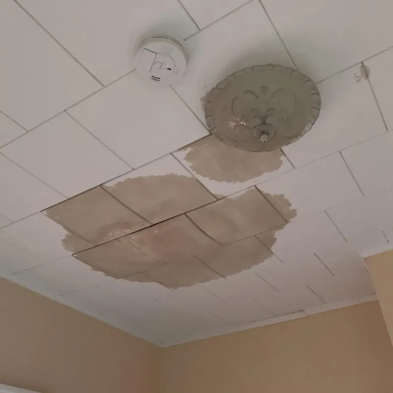 Ceiling Water Damage Repair in Crane, TX