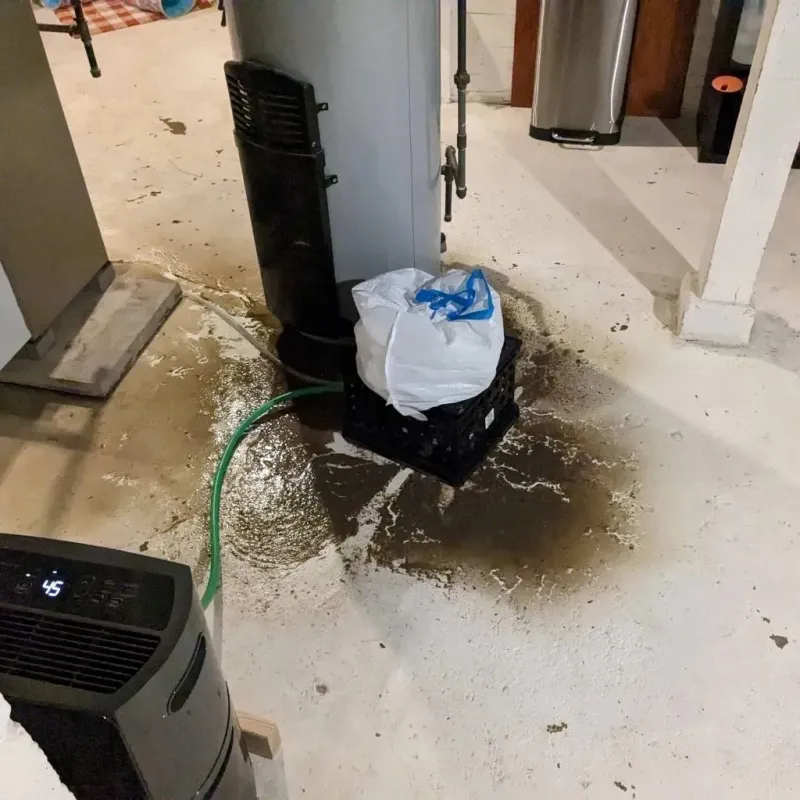 Sewage Backup Cleanup Service in Crane, TX